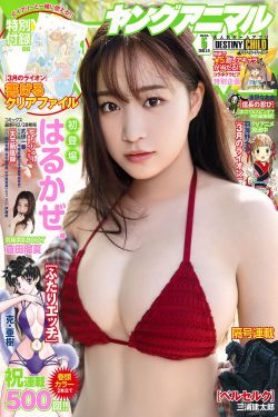 姐妹花合家欢1-5普通话